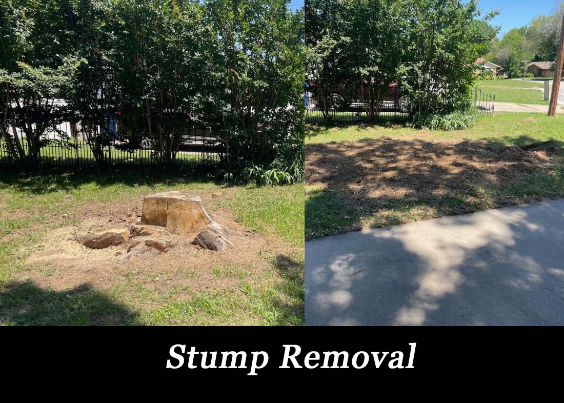 Stump Removal Wise County Bridgeport Decatur TX